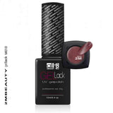 010 Marsala Magnetic Gel Polish by 2MBEAUTY