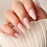Sheers & Shimmers BIAB™ Collection