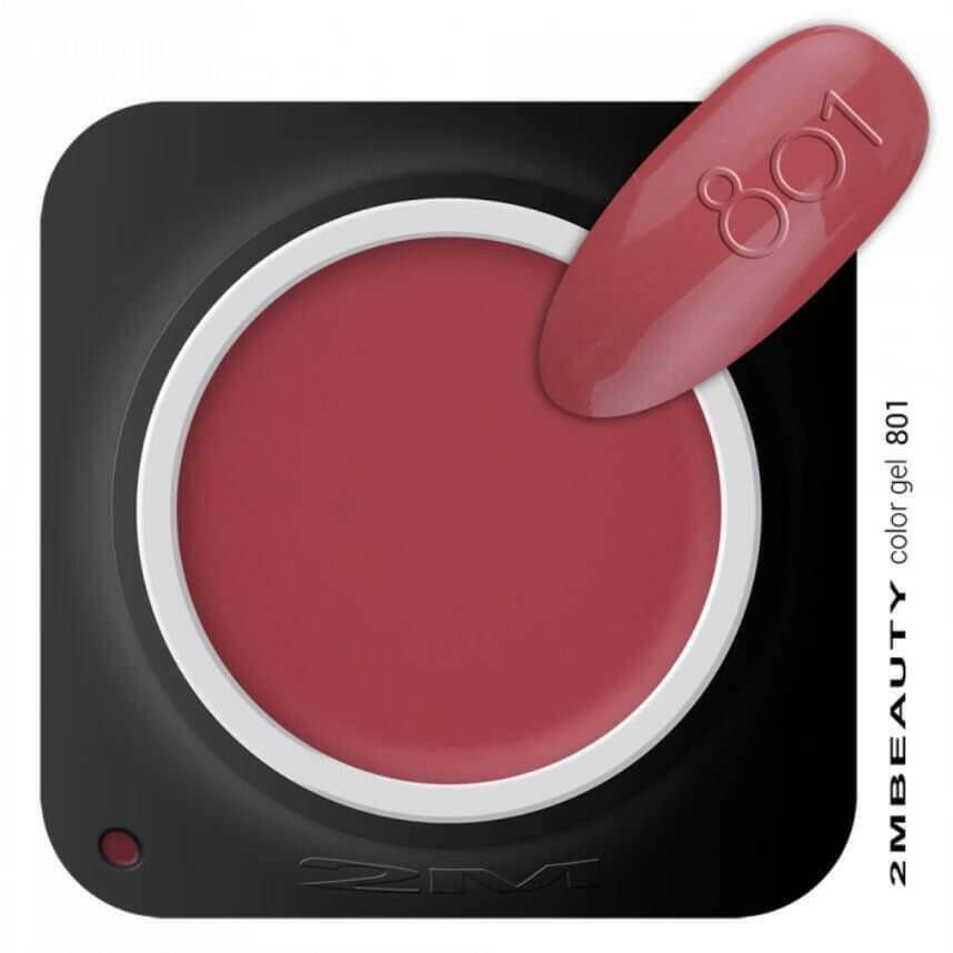 801 Dark Salmon Coloured Gel - thePINKchair.ca - Nail Care - 2Mbeauty