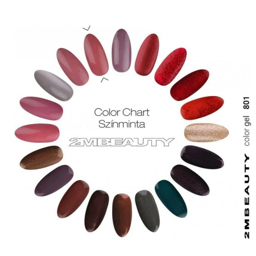 801 Dark Salmon Coloured Gel - thePINKchair.ca - Nail Care - 2Mbeauty