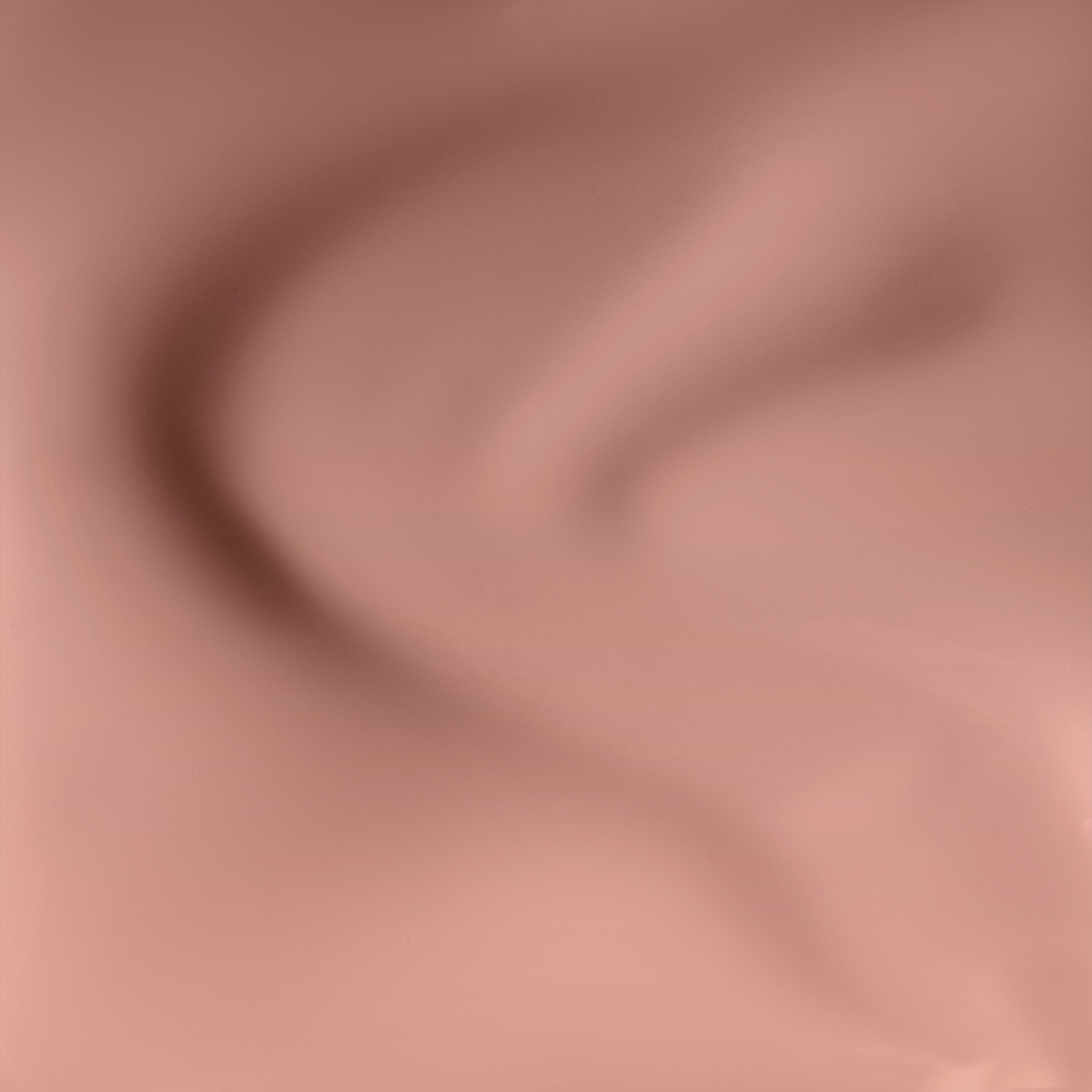 Vintage Carnation N04 (HEMA FREE & TPO FREE) - thePINKchair.ca