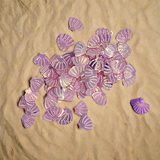 Sea Shell #7 (416)