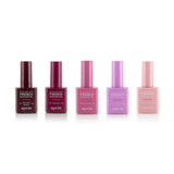 French Manicure Gel Holland Ombré Set