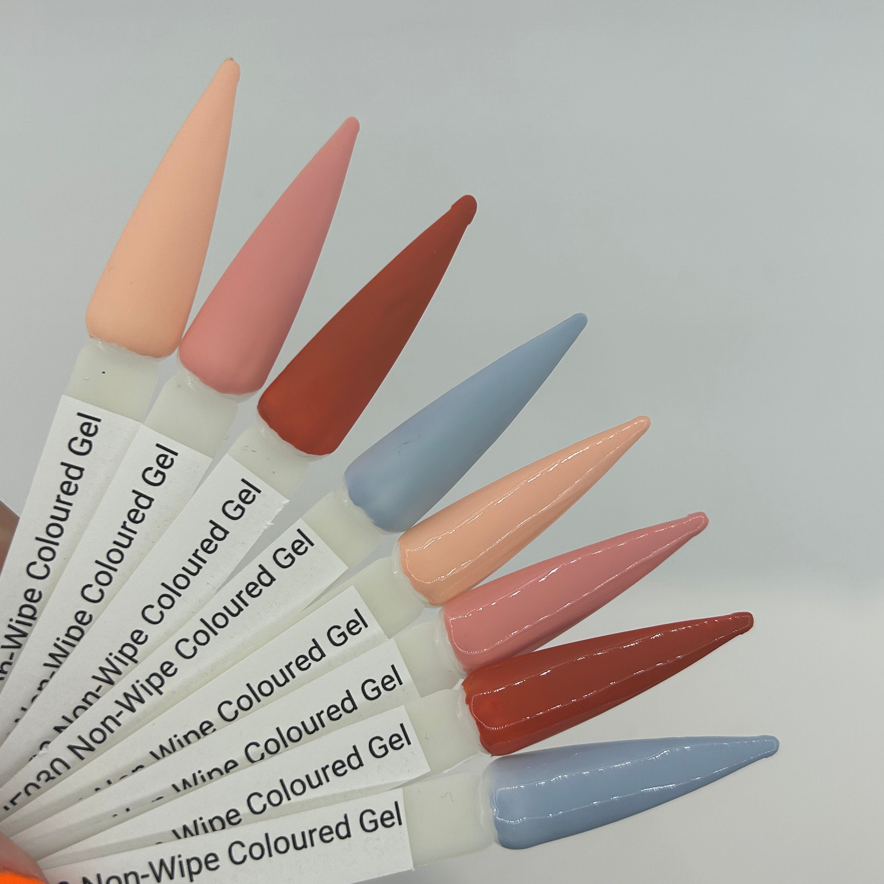 Don't Be Shell-ous Coloured Gel Collection by 2MBEAUTY - thePINKchair nail studio