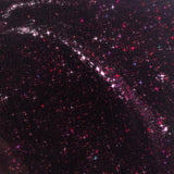 Night Bloom, FG19 (HEMA/TPO/TMPTA-Free) - thePINKchair.ca - Gel Polish - Apres