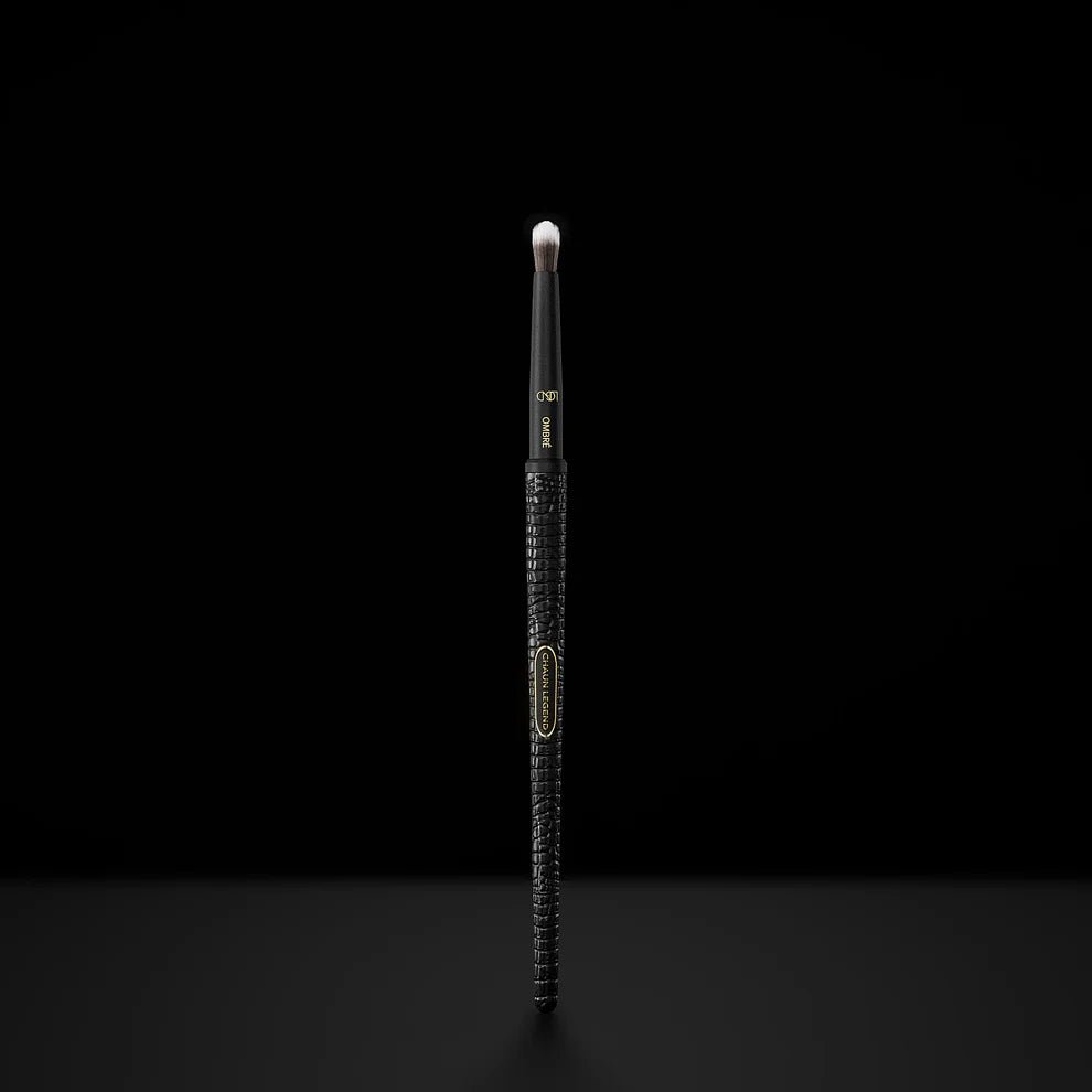 Ombré Brush | Chaun Legend - thePINKchair.ca - Brushes - Chaun Legend