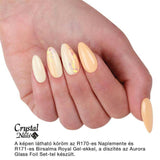 R171 Quince Sunset Royal Gel Paint by Crystal Nails