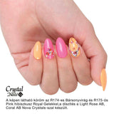 R174 Velvet Flower Royal Gel Paint by Crystal Nails