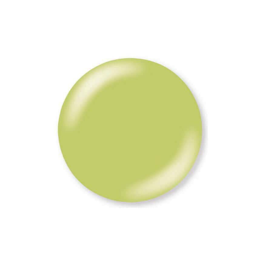 Rebirth Tech Colour Gel by NSI - thePINKchair.ca - Coloured Gel - NSI