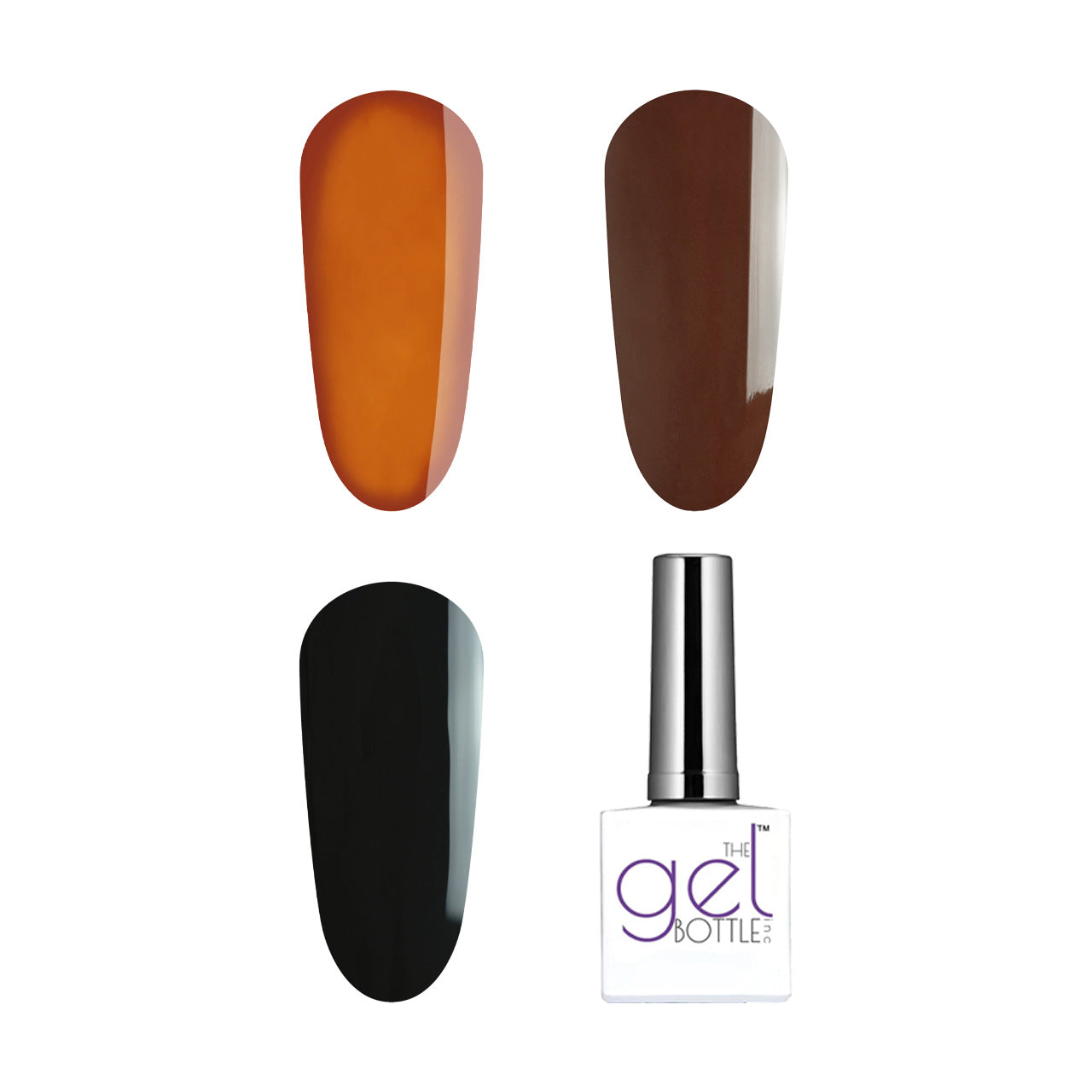 theGELBOTTLE Tortie Nail Art Kit with Tortuga, Cocoa, Jet Black and Blooming Gel