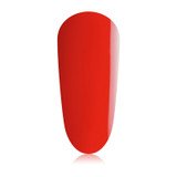 TGB Try Me Kit - thePINKchair.ca - BIAB - the GEL bottle