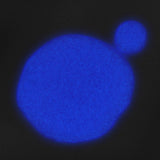 TREAT Glow in the Dark Gel Polish - thePINKchair.ca - gel polish - the GEL bottle