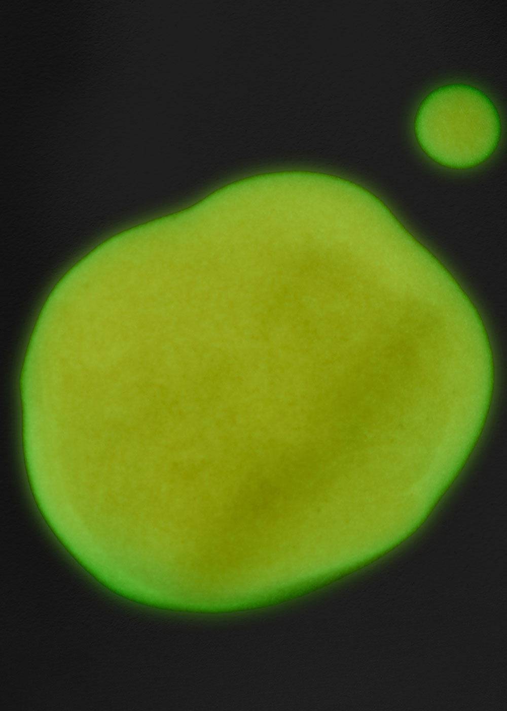 TRICK Glow in the Dark Gel Polish - thePINKchair.ca - gel polish - the GEL bottle