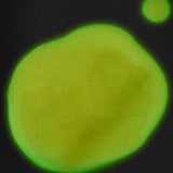 TRICK Glow in the Dark Gel Polish - thePINKchair.ca - gel polish - the GEL bottle
