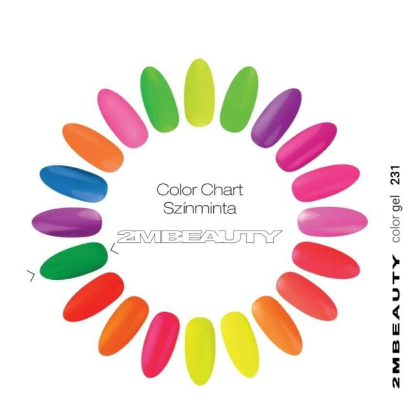 231 Coloured Gel by 2MBEAUTY - thePINKchair.ca - Coloured Gel - 2Mbeauty