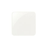 BL3003, Wink Wink Acrylic Powder by Glam & Glits - thePINKchair.ca - Coloured Powder - Glam & Glits